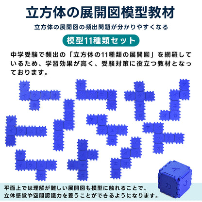 中学受験算数 立方体の展開図 模型教材［全11種］｜対応模型＋問題解説PDF｜立体図形が苦手な小学5・6年生向け